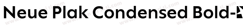 Neue Plak Condensed Bold字体转换
